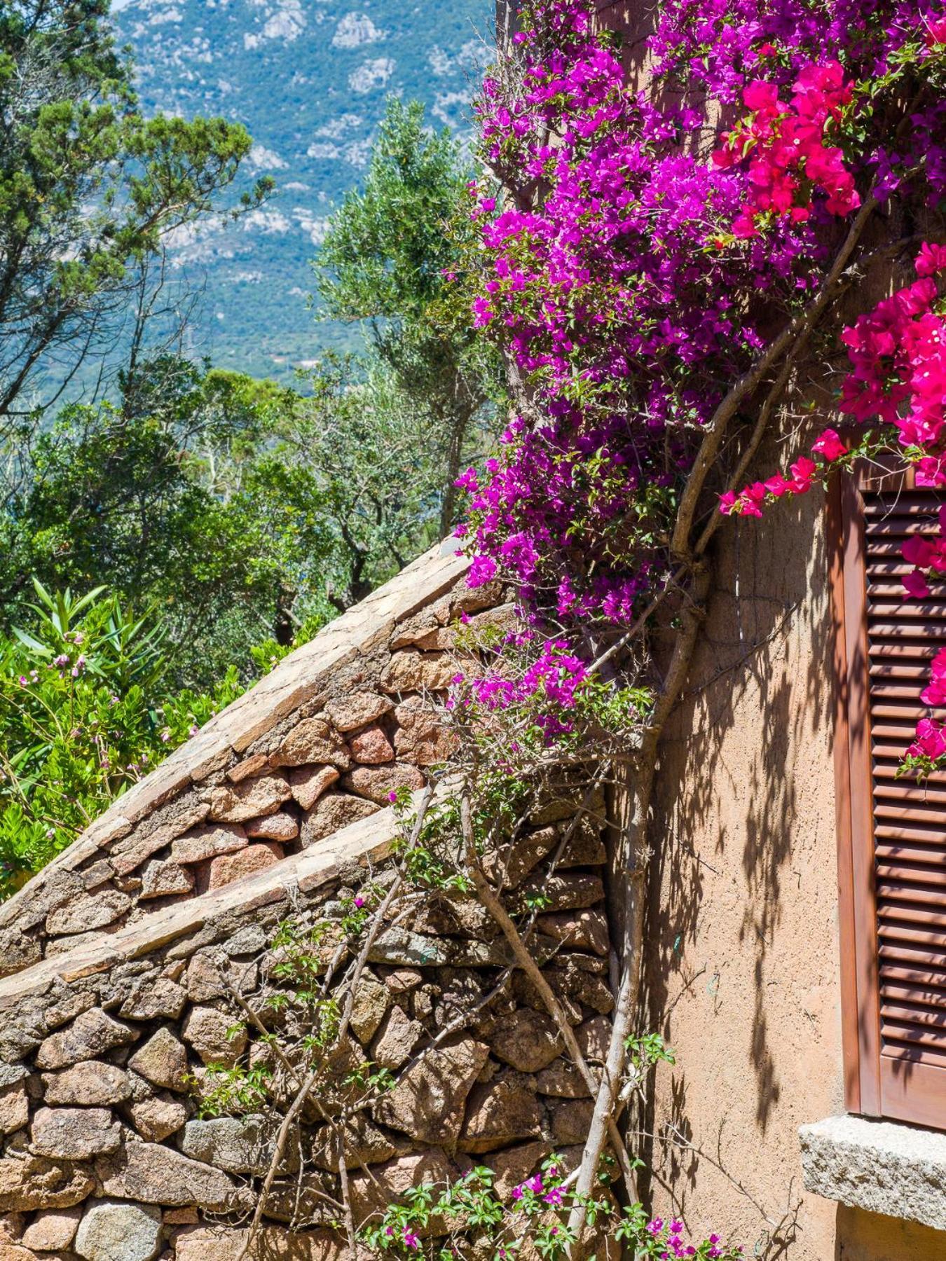 Caletta 10 - Klodge Porto Rotondo Eksteriør billede